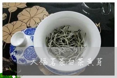 天福茗茶白茶黄芽/2023061782826