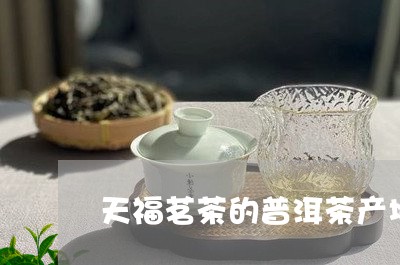 天福茗茶的普洱茶产地/2023093038373