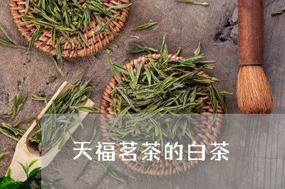 天福茗茶的白茶/2023071765127