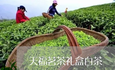 天福茗茶礼盒白茶/2023061726240