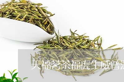 天福茗茶福虎生威普洱茶/2023120725048