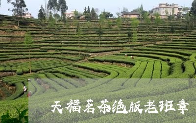 天福茗茶绝版老班章/2023042836417