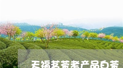 天福茗茶老产品白茶/2023081429271