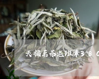 天福茗茶老班章380/2023061231383