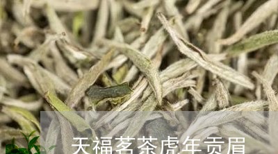 天福茗茶虎年贡眉/2023090729481