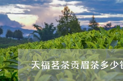 天福茗茶贡眉茶多少钱/2023120897471