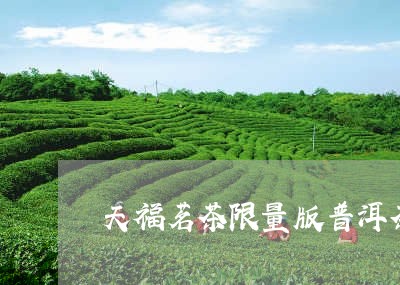 天福茗茶限量版普洱茶/2023062112726