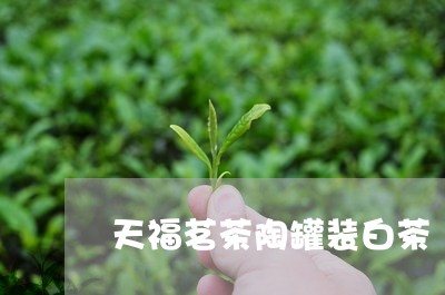 天福茗茶陶罐装白茶/2023081472858