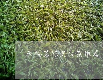 天福茗陈皮白茶推荐/2023081425240