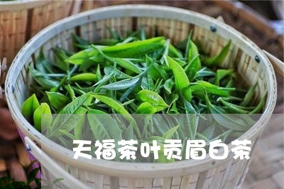 天福茶叶贡眉白茶/2023090797158