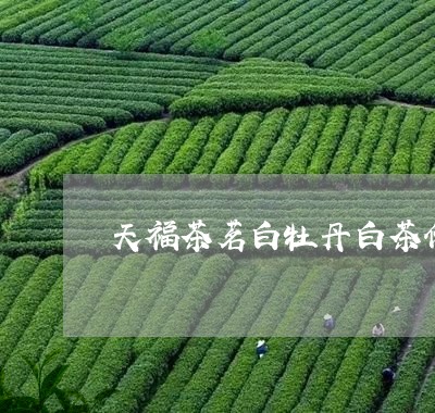 天福茶茗白牡丹白茶价格/2023092269805