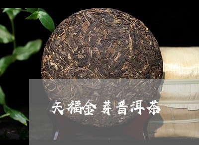 天福金芽普洱茶/2023121552403