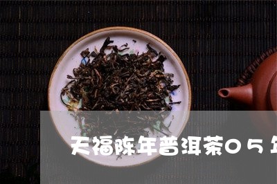 天福陈年普洱茶05年/2023093074035