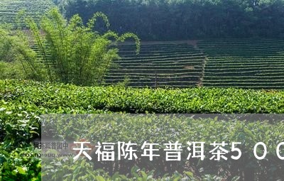 天福陈年普洱茶500/2023100792624