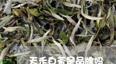 天禾白茶是品牌吗/2023061765470