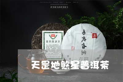 天罡地煞星普洱茶/2023101664926