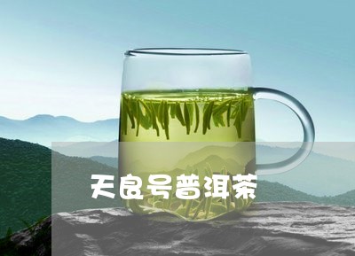 天良号普洱茶/2023042711612