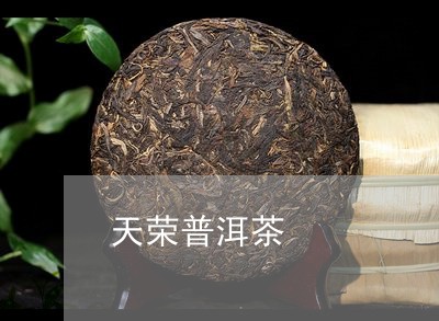 天荣普洱茶/2023102548470