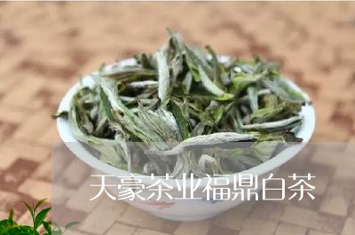 天豪茶业福鼎白茶/2023112605047