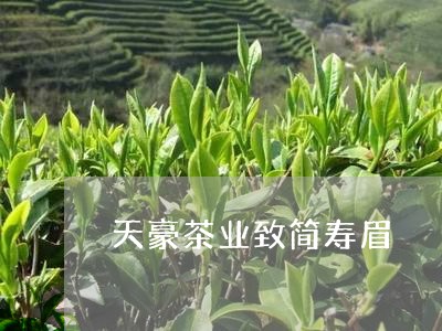 天豪茶业致简寿眉/2023061749683