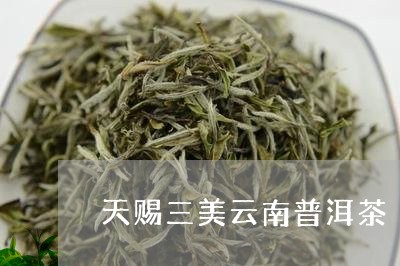 天赐三美云南普洱茶/2023120511925