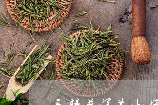 天赐普洱茶如何泡茶喝的/2023121557169