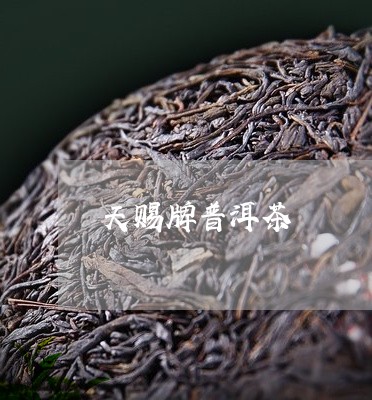 天赐牌普洱茶/2023042615260