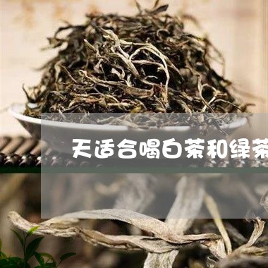 天适合喝白茶和绿茶/2023092880715