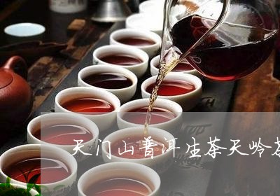 天门山普洱生茶天岭茶叶普洱茶好吗/2023060335151