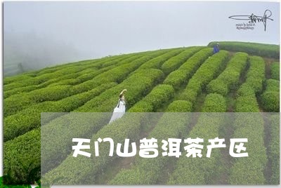 天门山普洱茶产区/2023110533816