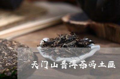 天门山普洱茶冯土匪/2023121573038