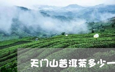 天门山普洱茶多少一斤/2023092697474