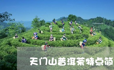 天门山普洱茶特点简介/2023063012937