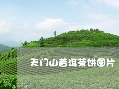 天门山普洱茶饼图片/2023120546260