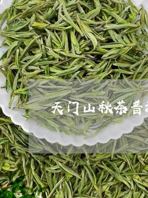 天门山秋茶普洱茶特点/2023062389584