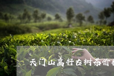 天门山高杆古树茶价格/2023092188370