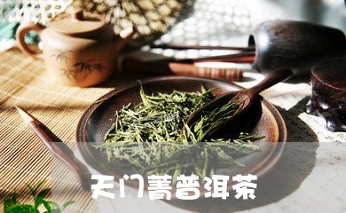 天门菁普洱茶/2023042601169