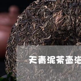 天青泥茶壶泡白茶好吗/2023092848360