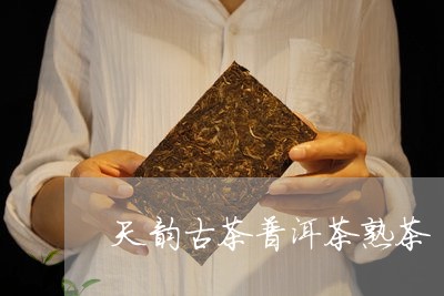 天韵古茶普洱茶熟茶/2023101634916