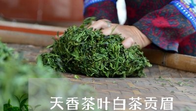 天香茶叶白茶贡眉/2023061773714