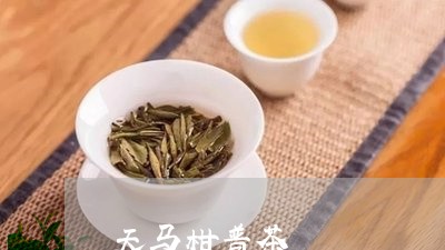 天马柑普茶/2023041723135