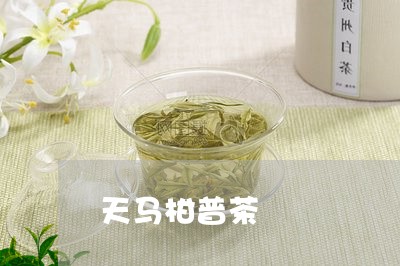 天马柑普茶/2023090285057