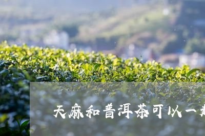 天麻和普洱茶可以一起/2023093085926