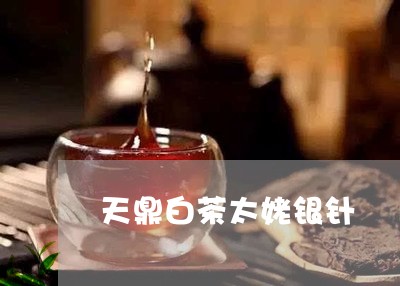 天鼎白茶太姥银针/2023061752593