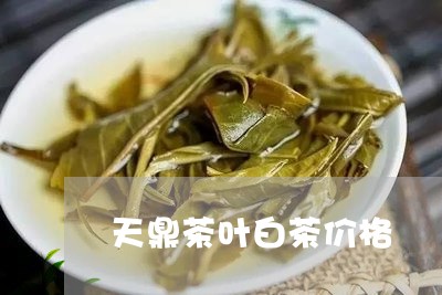 天鼎茶叶白茶价格/2023061797383