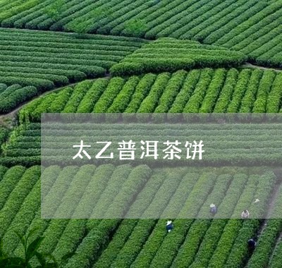 太乙普洱茶饼/2023042817052