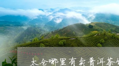 太仓哪里有卖普洱茶饼卖/2023082950714