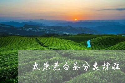 太原老白茶分类标准/2023081466060