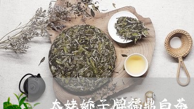 太姥娇子牌福鼎白茶/2023120355949