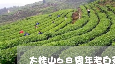 太姥山68周年老白茶/2023092738483